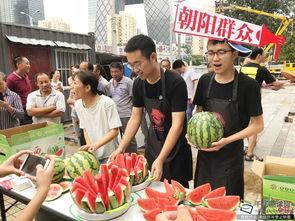 朝阳吃瓜网,揭秘娱乐圈最新热点，带你领略明星幕后故事